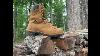 Danner Quarry Usa Boot Review Made In The Usa But What Does That Mean